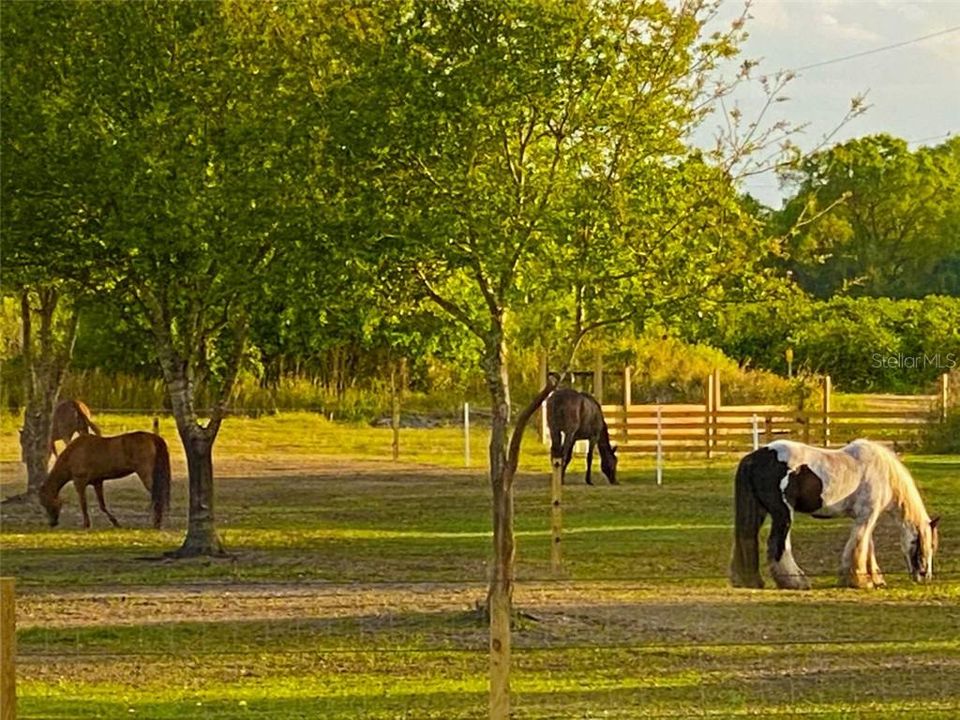 Недавно продано: $95,000 (5.00 acres)