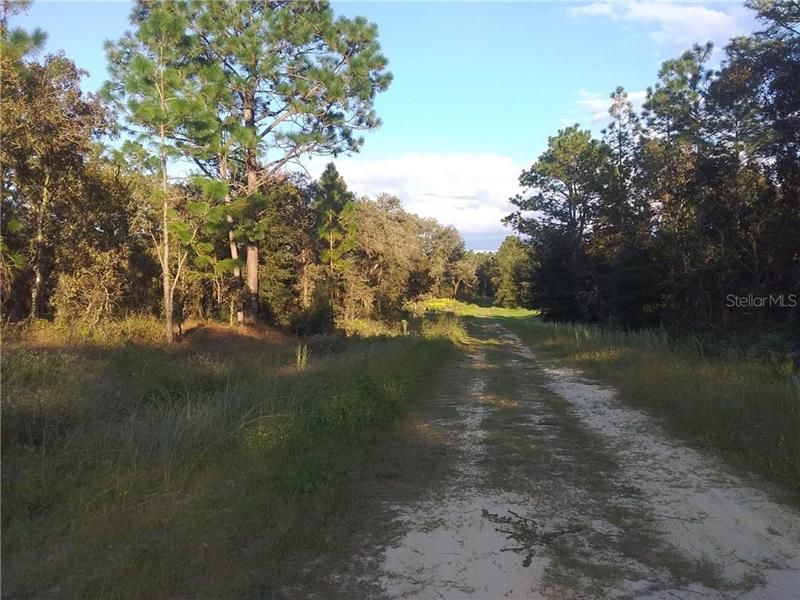 Recently Sold: $11,600 (1.16 acres)