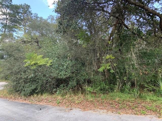 最近售出: $12,000 (0.36 acres)