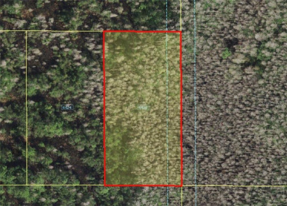 For Sale: $7,999 (1.26 acres)