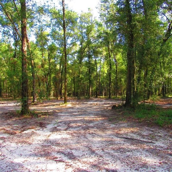 Recently Sold: $215,000 (10.00 acres)