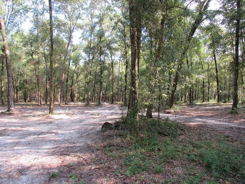 Vendido Recientemente: $215,000 (10.00 acres)