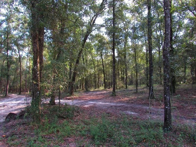 Recently Sold: $215,000 (10.00 acres)