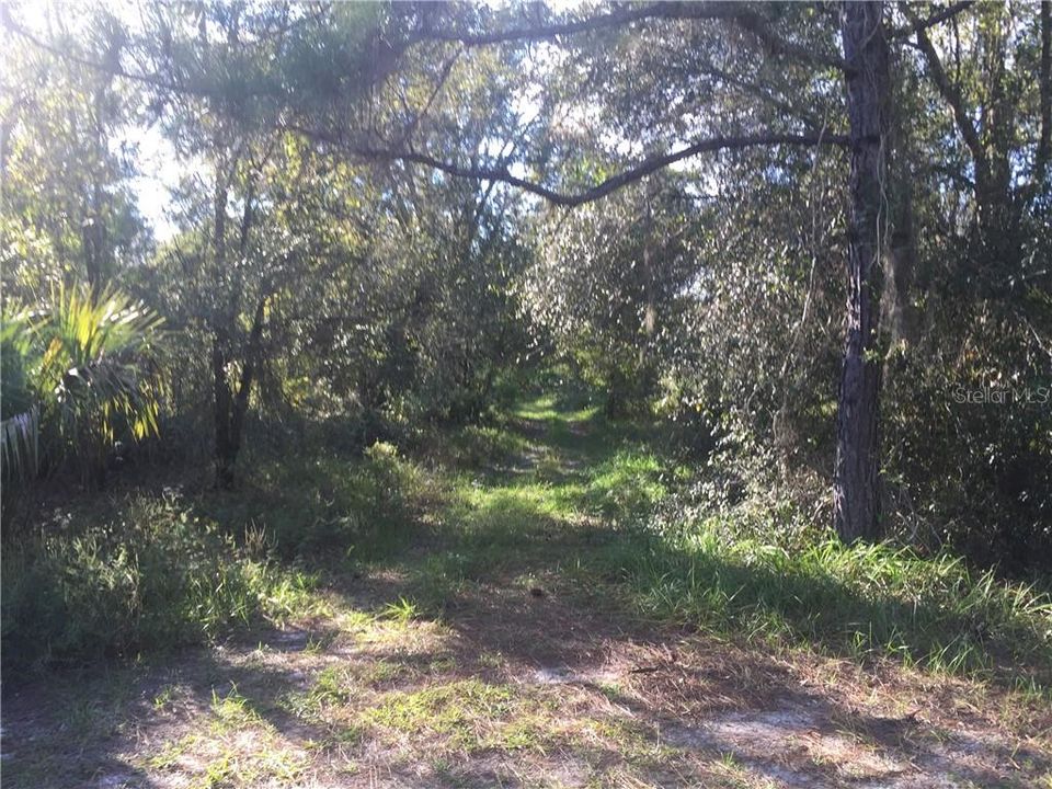 Recently Sold: $65,000 (6.26 acres)