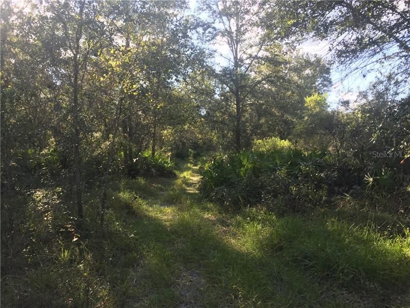 Vendido Recientemente: $65,000 (6.26 acres)