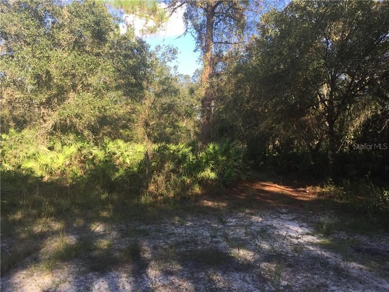 Recently Sold: $65,000 (6.26 acres)