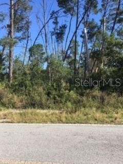 Recently Sold: $27,000 (0.25 acres)