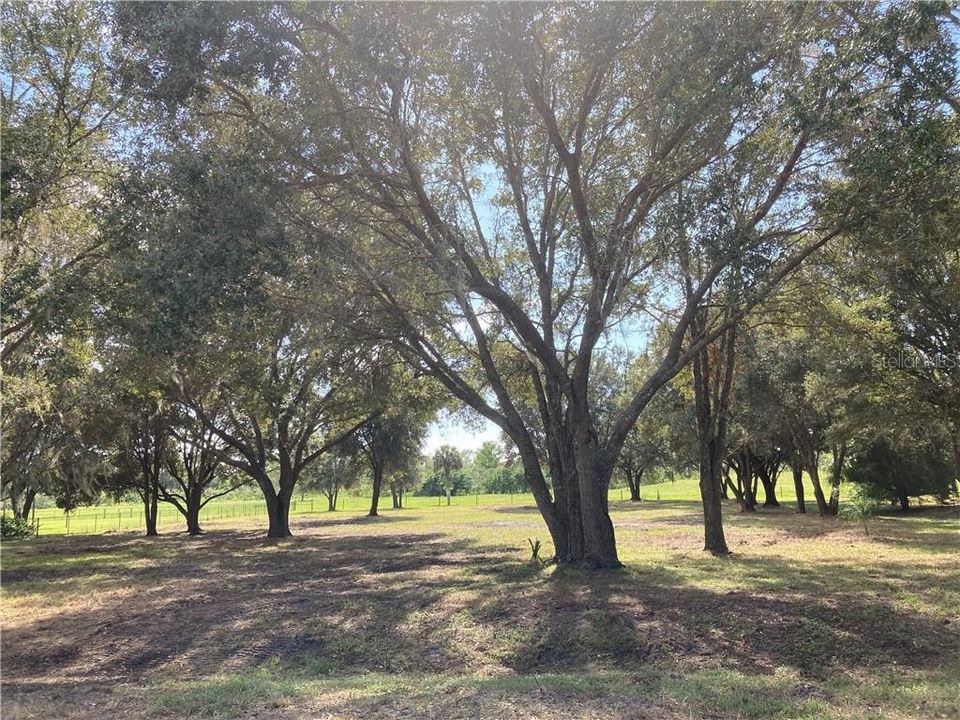 Recently Sold: $159,900 (0.94 acres)