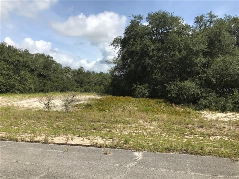 Recently Sold: $16,000 (0.16 acres)