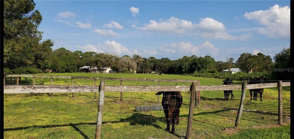 Недавно продано: $75,000 (2.17 acres)