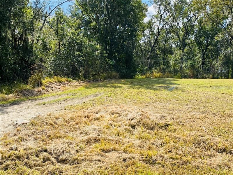 Recently Sold: $29,900 (0.31 acres)