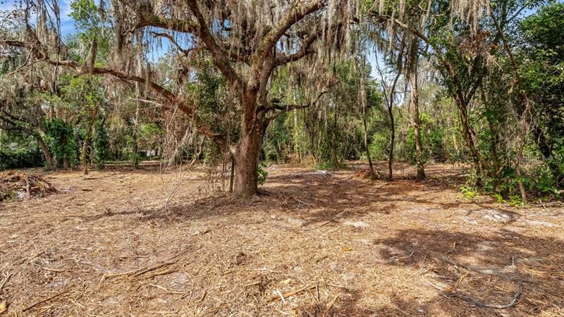 Recently Sold: $525,000 (1.67 acres)