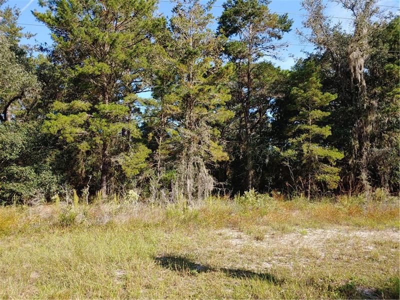 Recently Sold: $10,000 (0.32 acres)