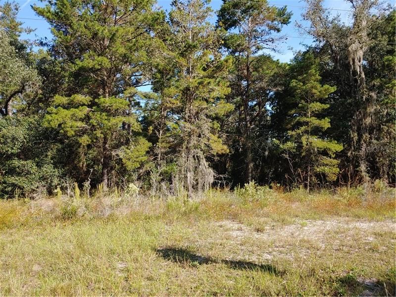 Recently Sold: $10,000 (0.32 acres)