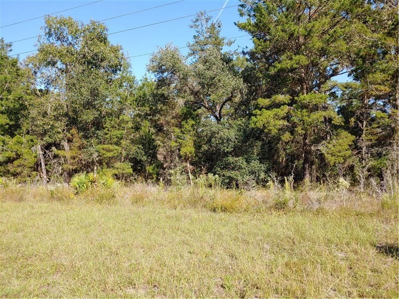 Recently Sold: $10,000 (0.32 acres)