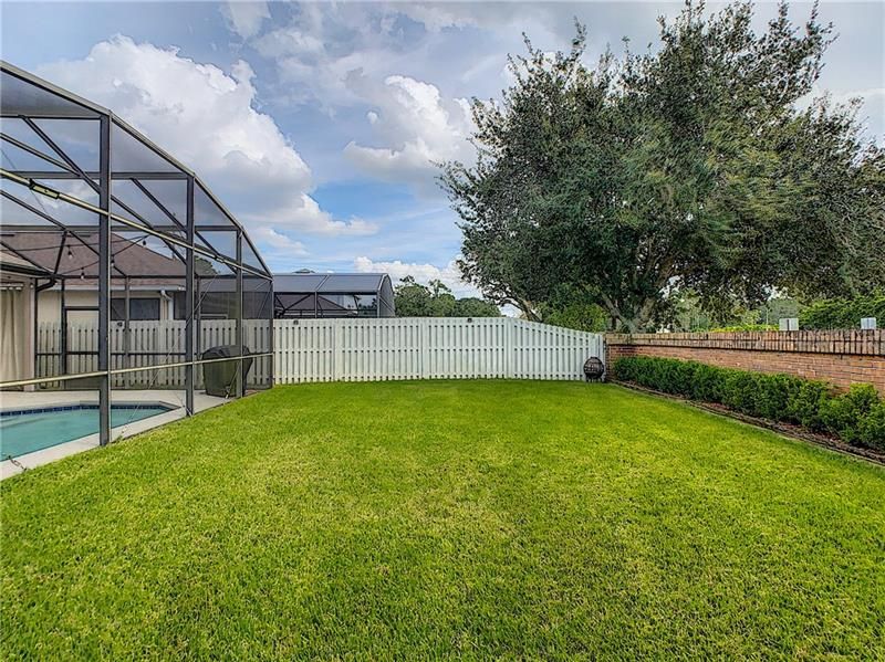 Large, open backyard - great for entertaining