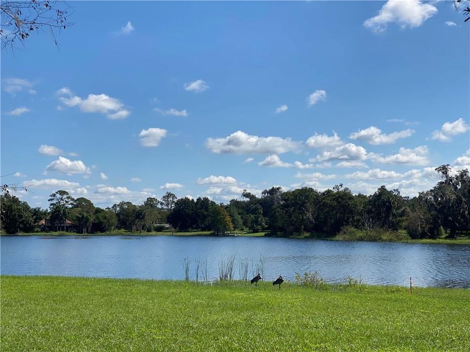 Recently Sold: $150,000 (2.93 acres)