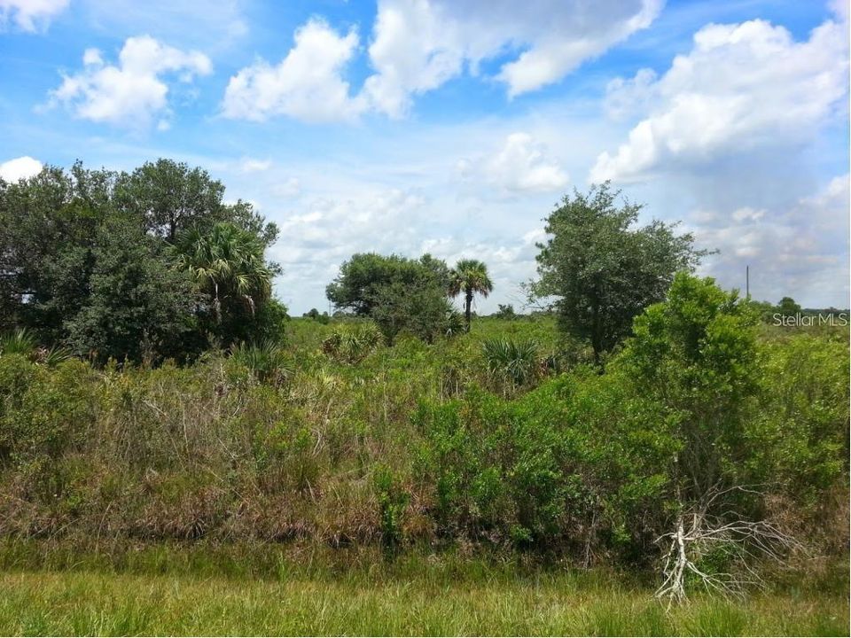 Vendido Recientemente: $9,000 (1.25 acres)