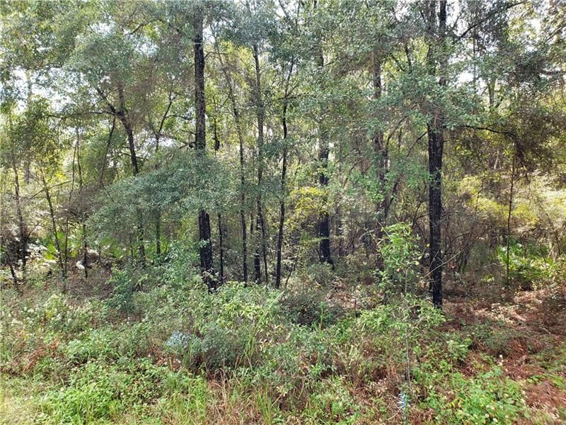 Recently Sold: $6,995 (0.23 acres)
