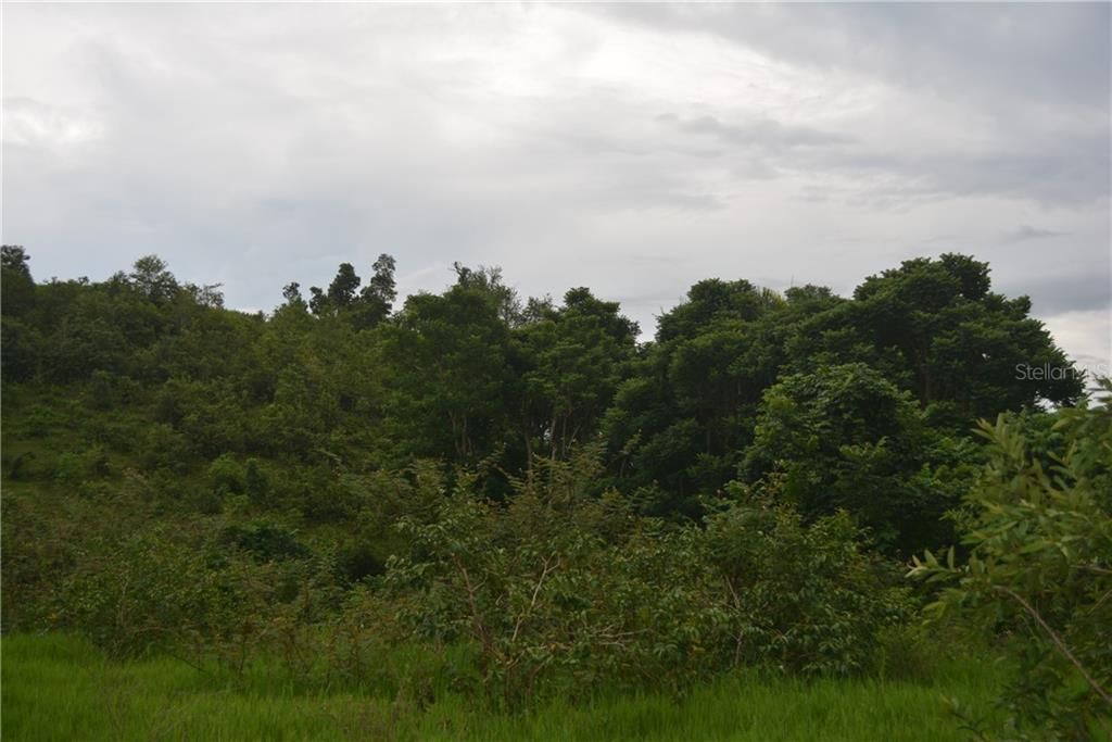 Vendido Recientemente: $55,000 (4.98 acres)