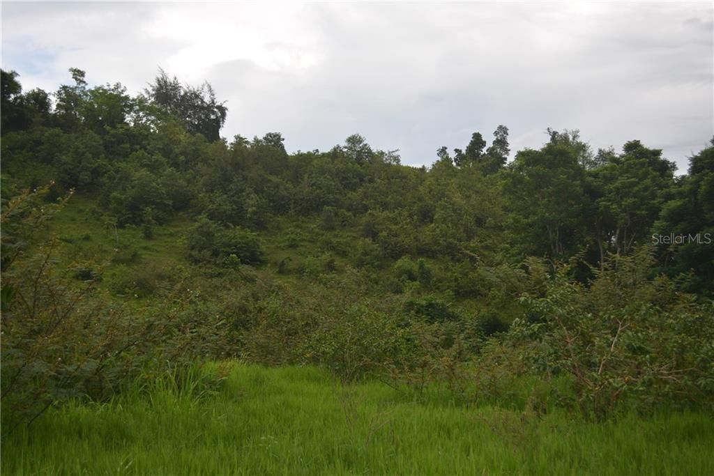 Vendido Recientemente: $55,000 (4.98 acres)