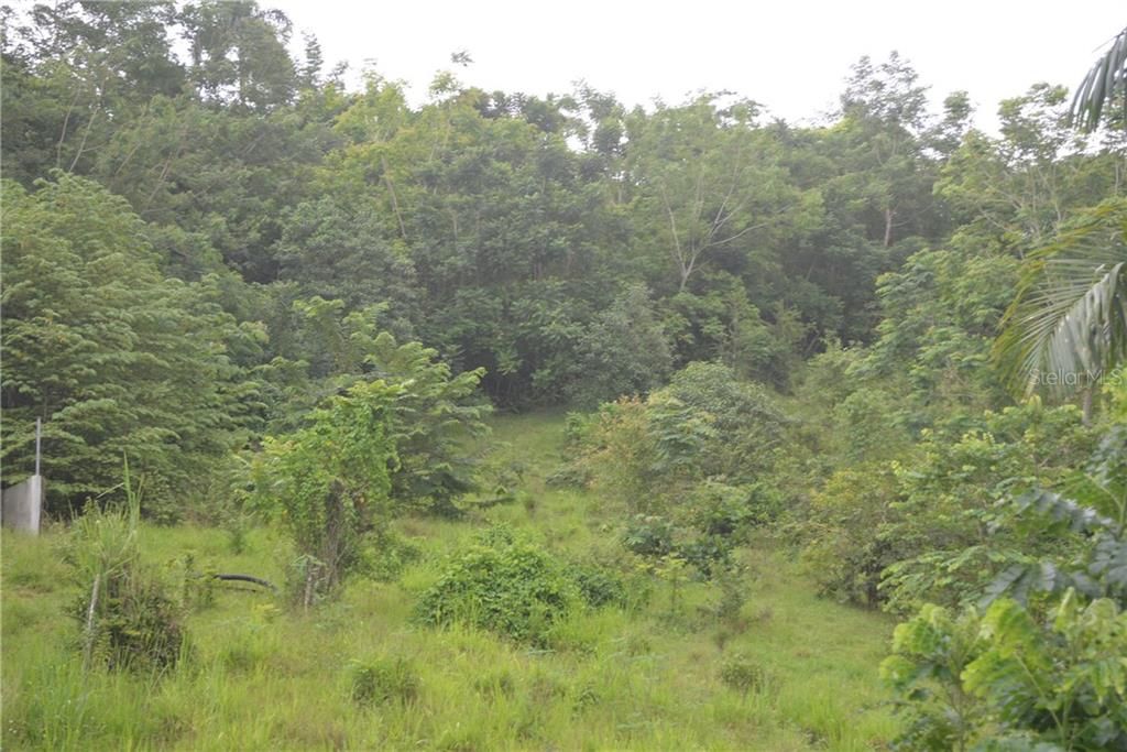 Vendido Recientemente: $55,000 (4.98 acres)