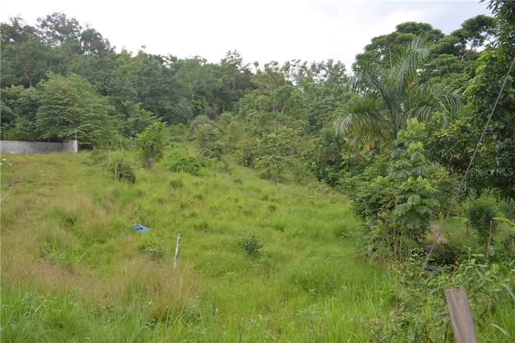 Vendido Recientemente: $55,000 (4.98 acres)