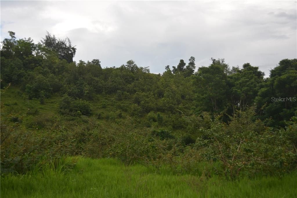 Vendido Recientemente: $55,000 (4.98 acres)