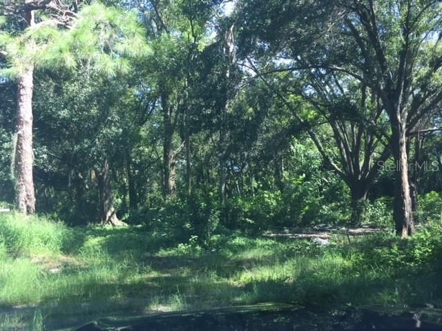 Recently Sold: $29,950 (0.91 acres)