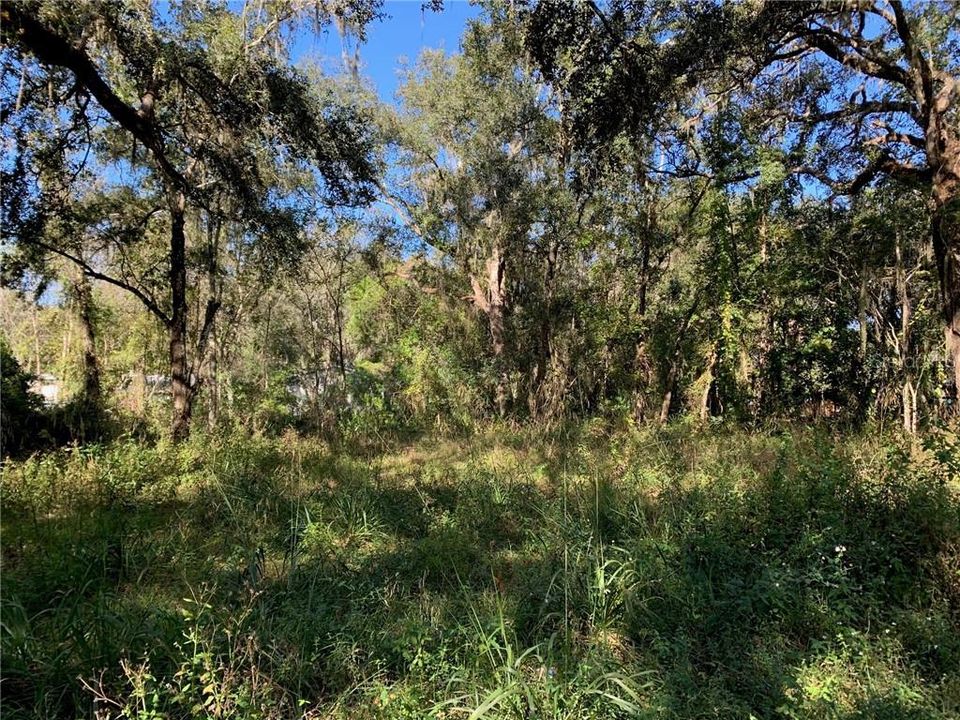 Recently Sold: $13,500 (0.39 acres)