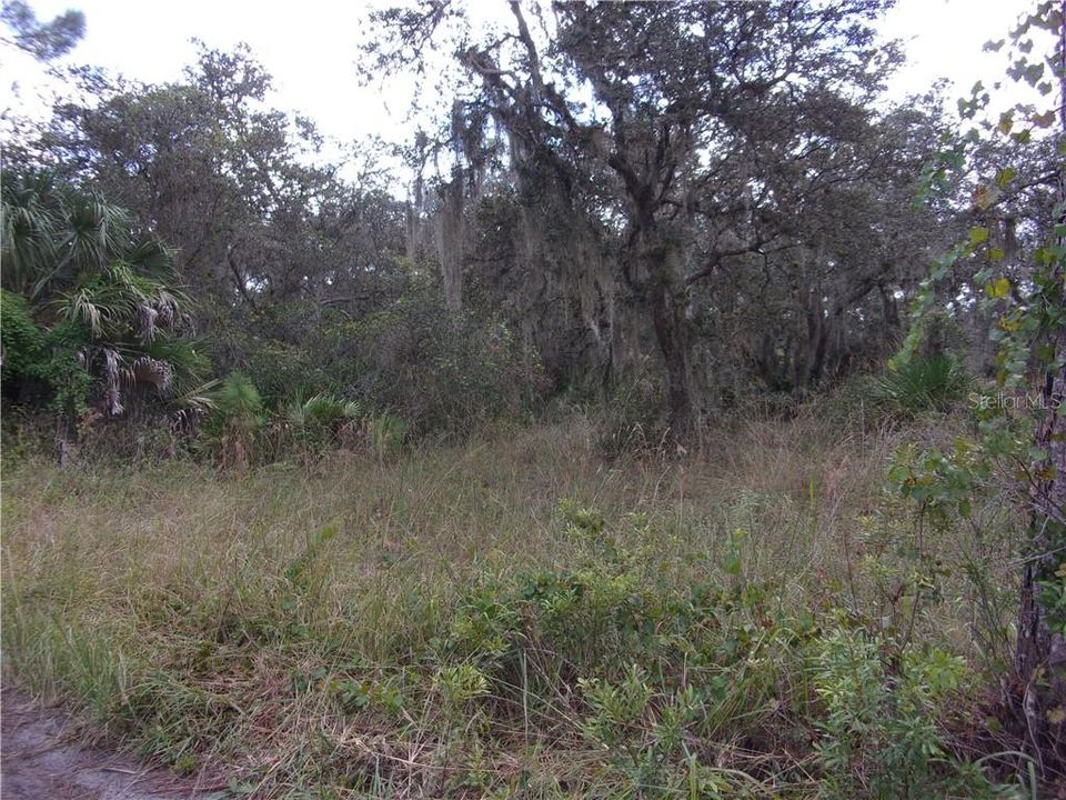 Recently Sold: $6,500 (0.18 acres)