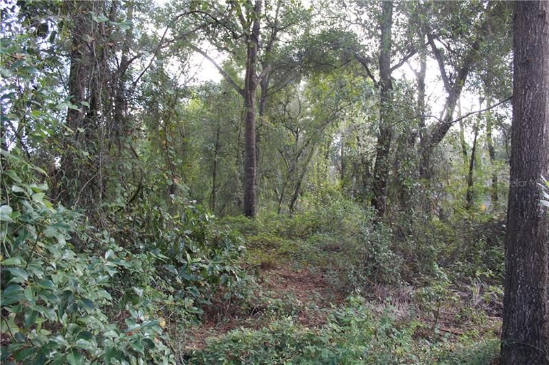 Recently Sold: $22,000 (0.23 acres)