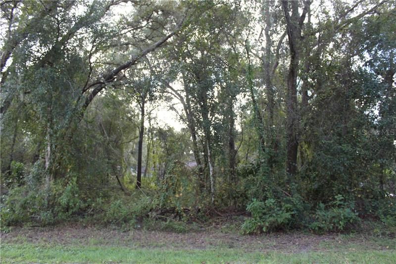 Recently Sold: $22,000 (0.23 acres)
