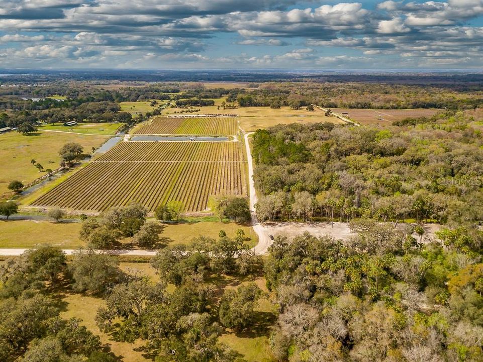 Недавно продано: $65,000 (7.30 acres)