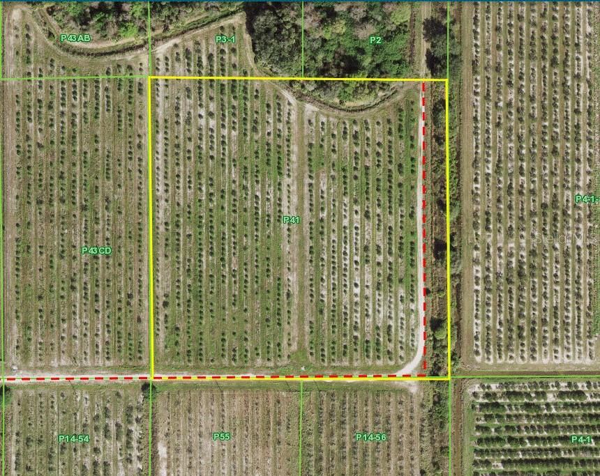 10 Acre property with a road on the south and east sides.  Electric in south road in front of 10 acres.  There  is a small cupress bayhead or swamp on edge of property.