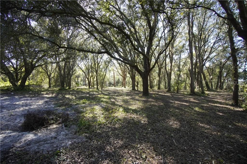 Recently Sold: $99,900 (5.00 acres)