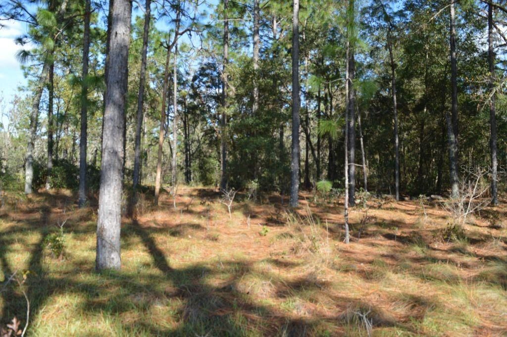 Recently Sold: $75,000 (7.59 acres)