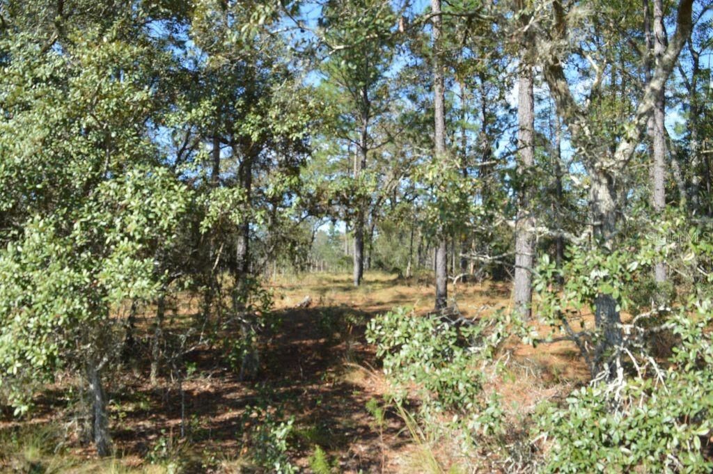 Recently Sold: $75,000 (7.59 acres)