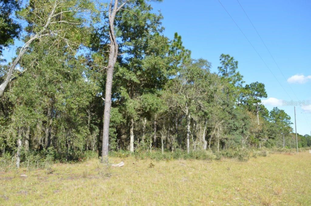 Recently Sold: $75,000 (7.59 acres)