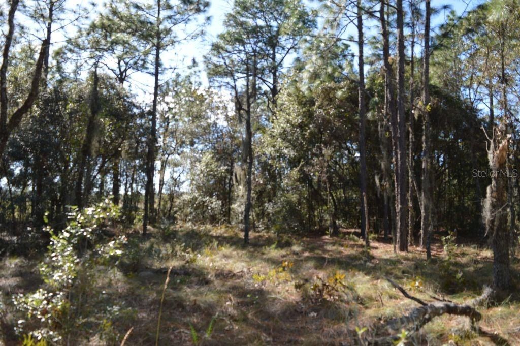 Vendido Recientemente: $75,000 (7.59 acres)