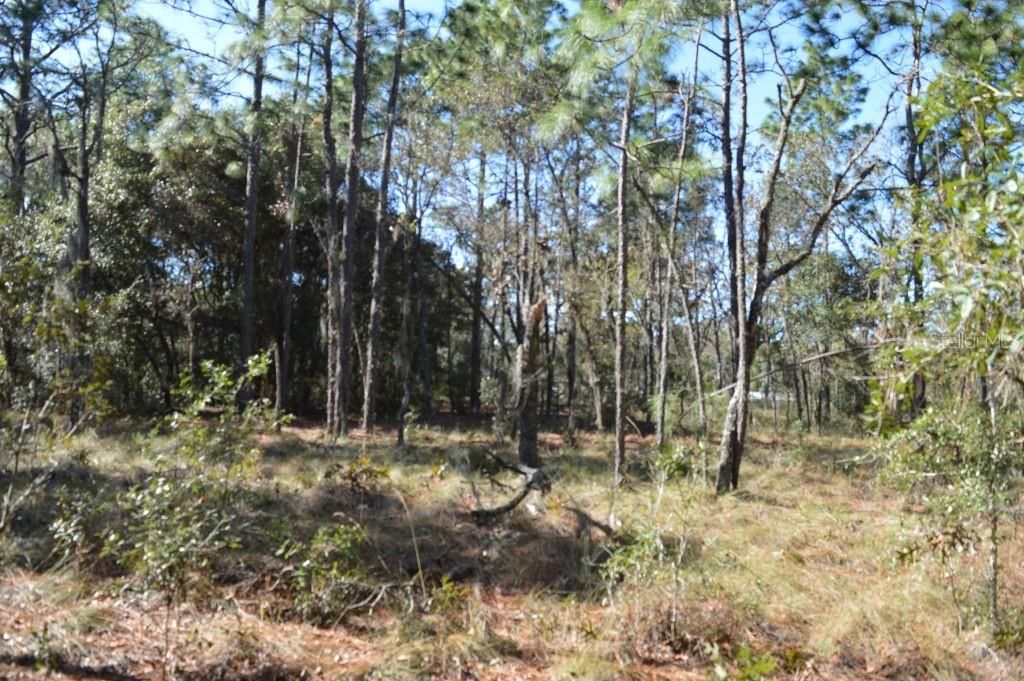 Recently Sold: $75,000 (7.59 acres)