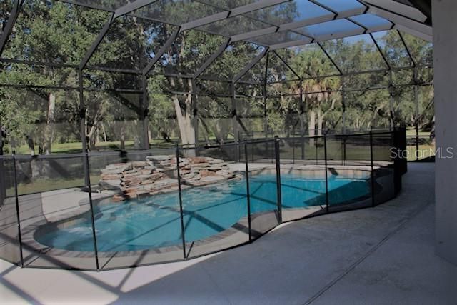 Pool View with safety Gate,  View of Mature Oak Trees on Property