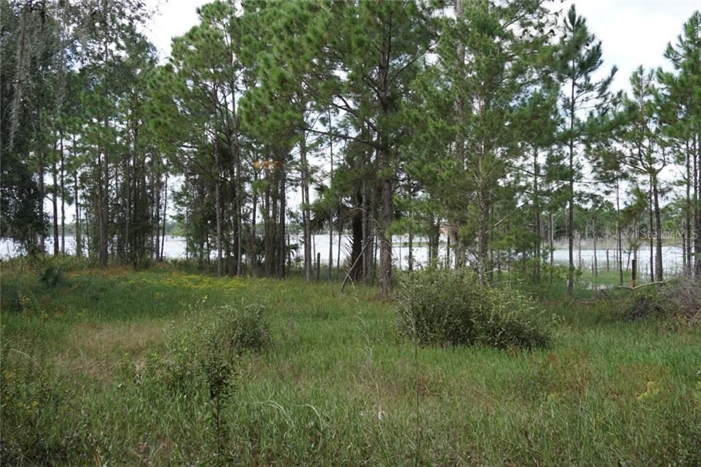 Recently Sold: $35,000 (1.97 acres)