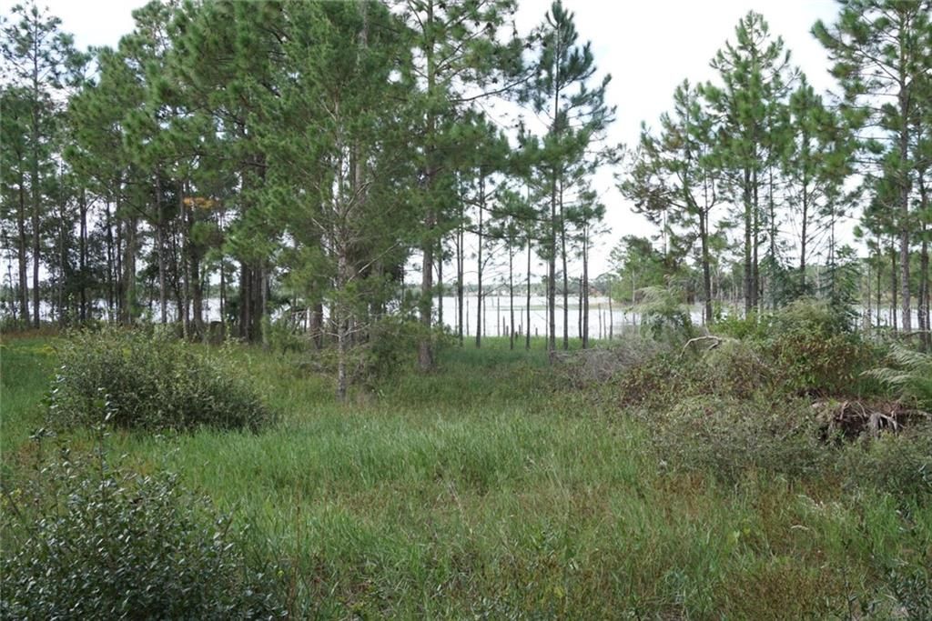 Recently Sold: $35,000 (1.97 acres)