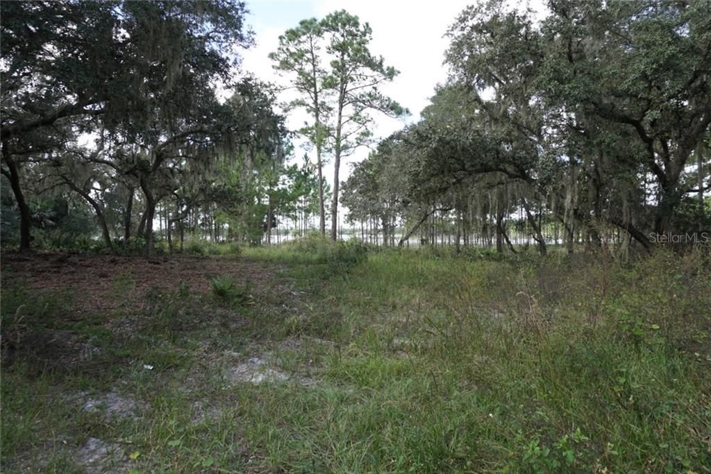 Recently Sold: $35,000 (1.97 acres)