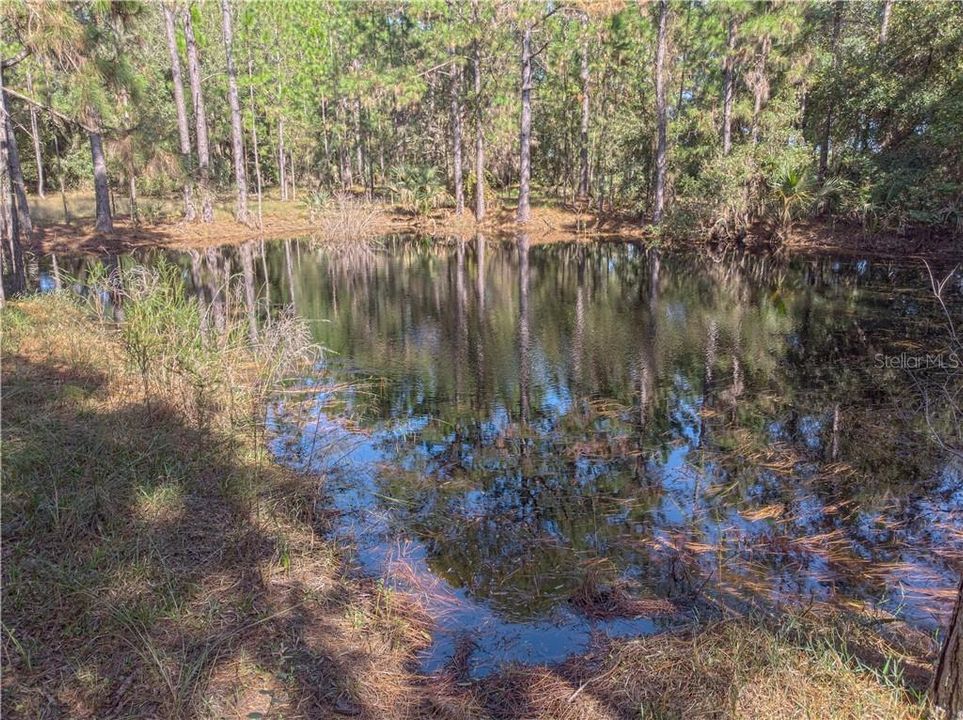 Recently Sold: $185,000 (9.02 acres)