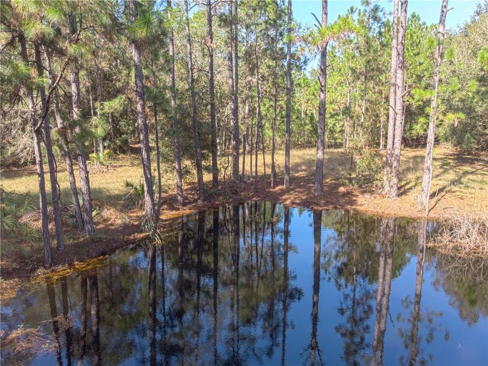 Recently Sold: $185,000 (9.02 acres)