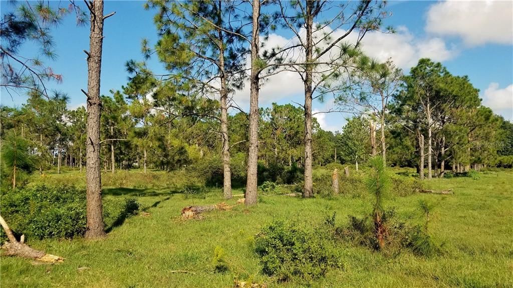Active With Contract: $1,300,000 (80.31 acres)