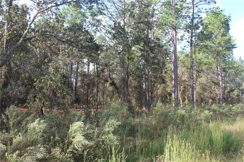 Recently Sold: $22,000 (1.16 acres)