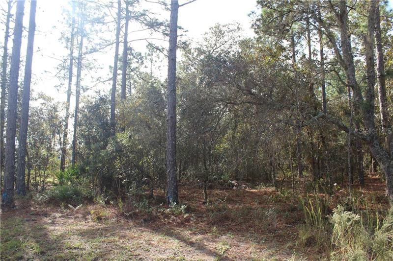 Recently Sold: $22,000 (1.16 acres)